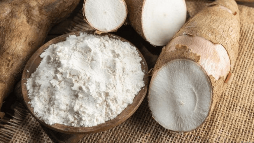 Cassava for Starch for Food, Industrial, or Chemical purposes