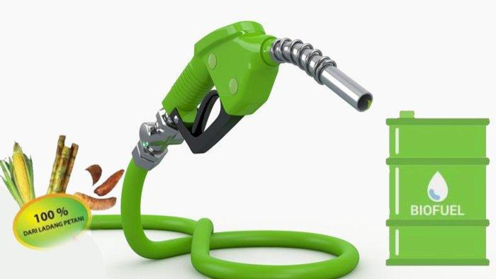 Cassava for Bio-ethanol for nature-friendly fuel